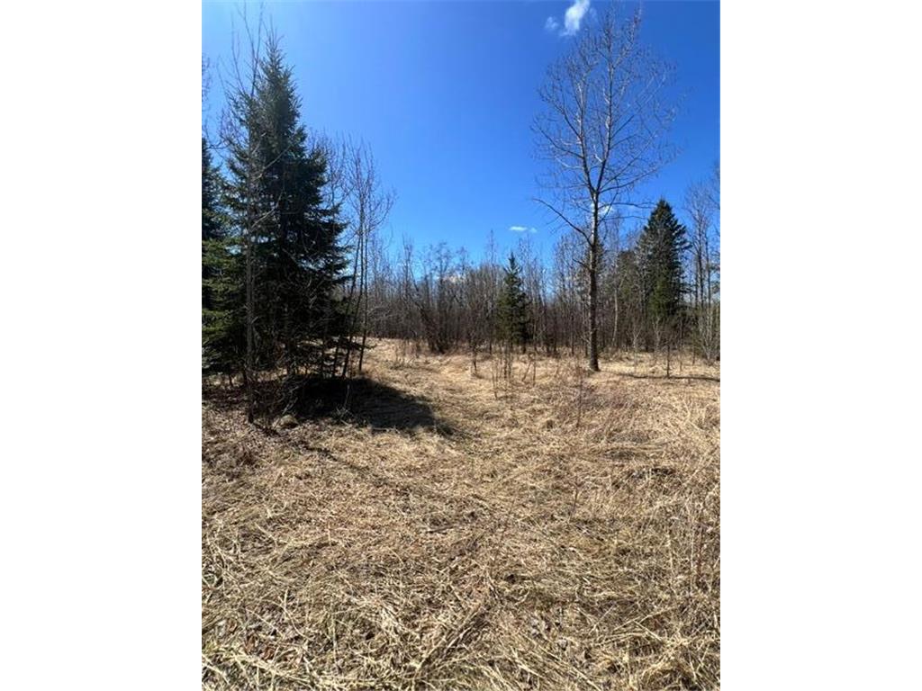 10354 County Road 553 Nashwauk Twp MN 55769 7066617 image39