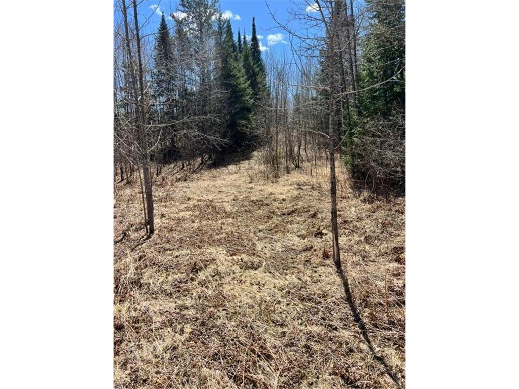 10354 County Road 553 Nashwauk Twp MN 55769 7066617 image40