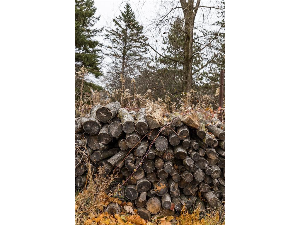 10357 117th Street N Grant MN 55082 6815701 image54