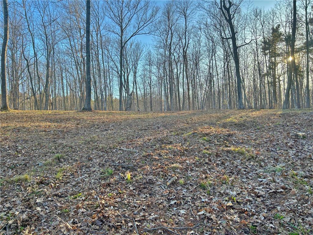 10358 N White Bear Avenue Hayward WI 54843 - Round Lake 7062477 image9