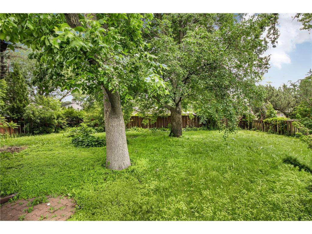 1036 24th Avenue N Saint Cloud MN 56303 7081968 image23