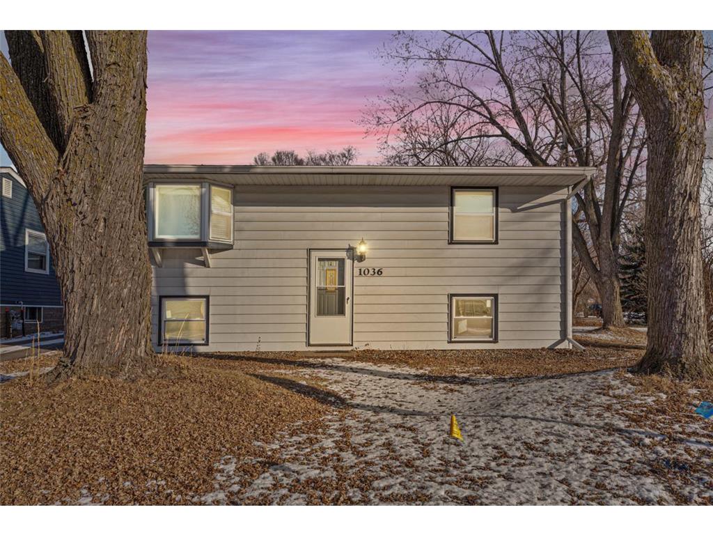 1036 4th Avenue Newport MN 55055 6647964 image1