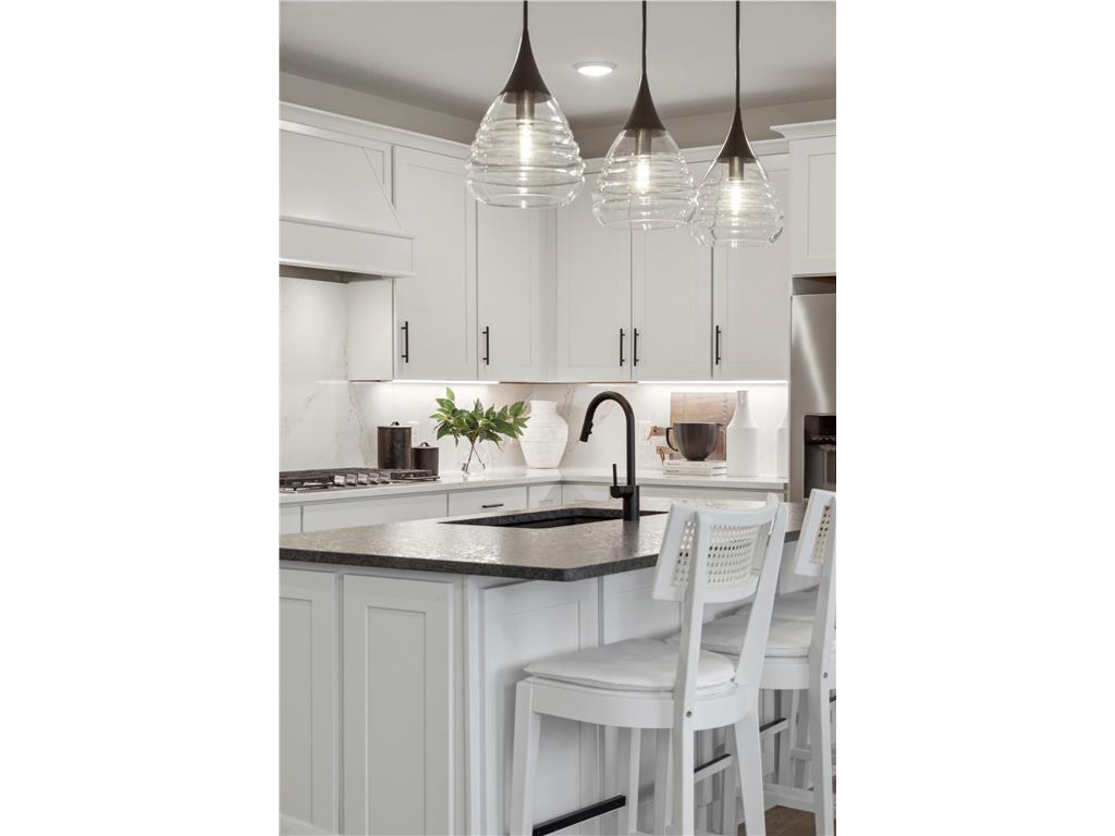 10360 Griffin Avenue S Cottage Grove MN 55016 6818386 image14