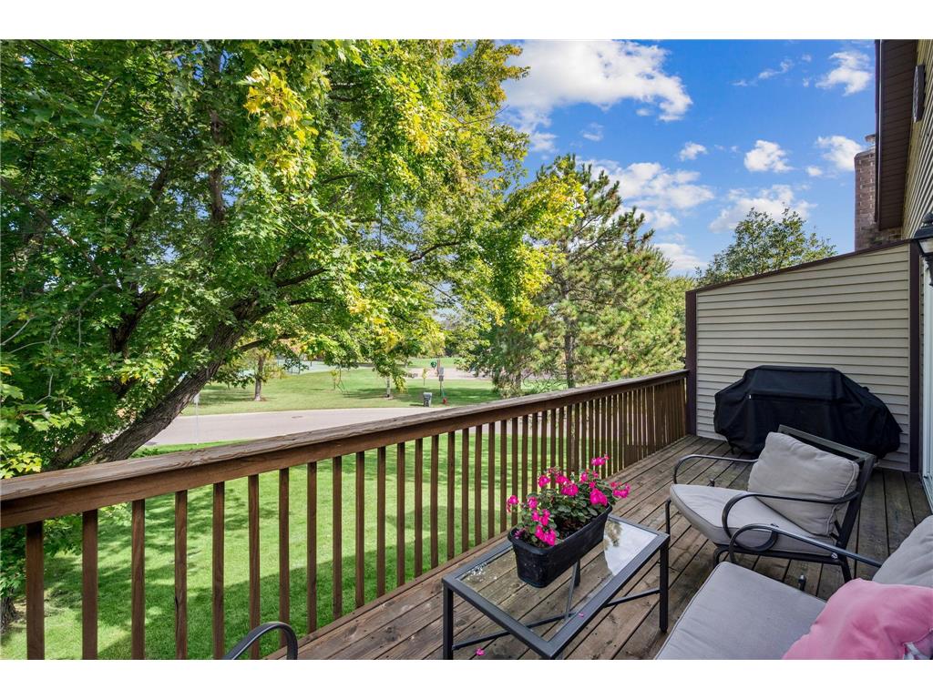 10361 Balsam Lane Eden Prairie MN 55347 7073970 image42