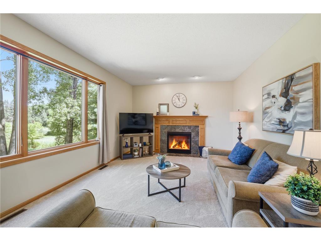 10362 Waterfront Drive Woodbury MN 55129 7094788 image18