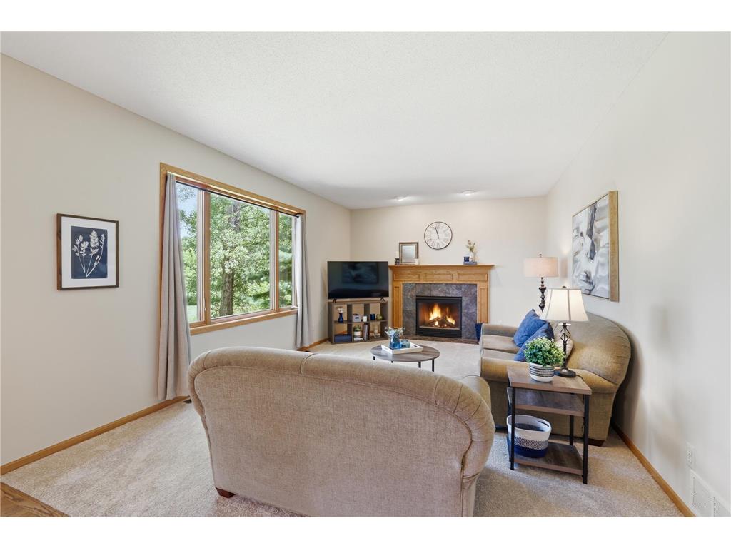 10362 Waterfront Drive Woodbury MN 55129 7094788 image19