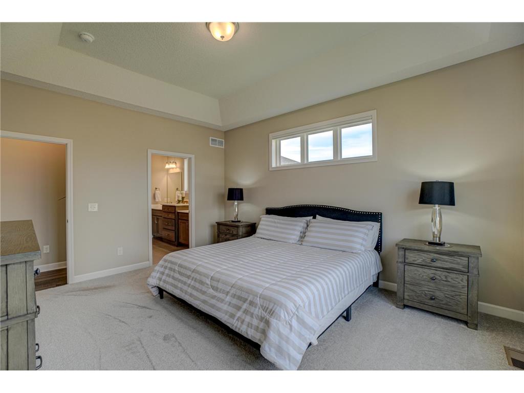 1037 Oakwood Court Newport MN 55055 - Ria 7055797 image17