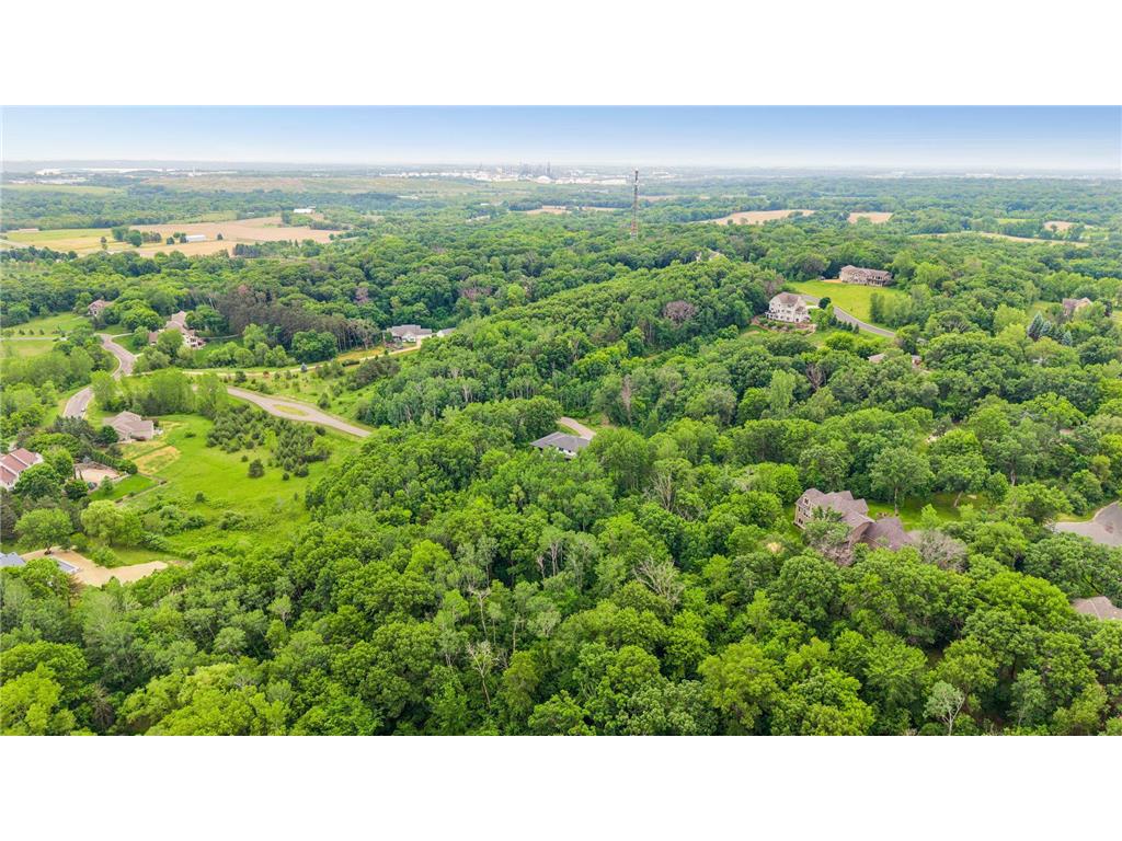 10371 Andrea Trail Inver Grove Heights MN 55077 7083866 image5
