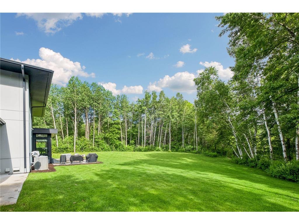 10371 Andrea Trail Inver Grove Heights MN 55077 7083866 image81