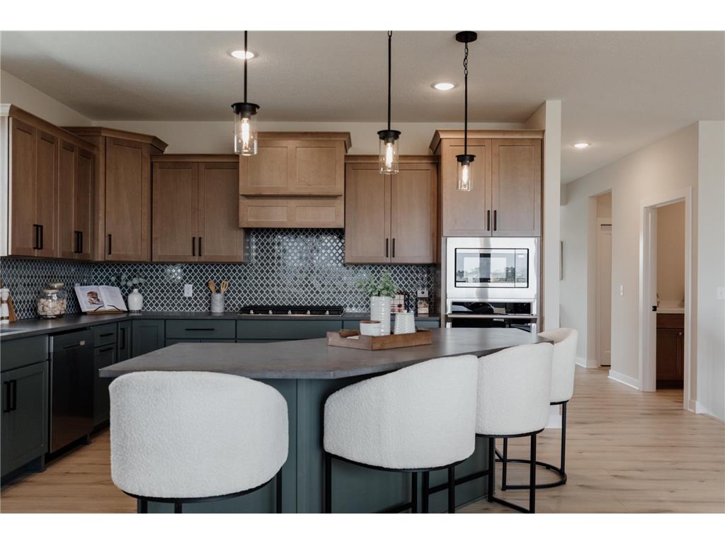 10377 Shadyview Lane N Maple Grove MN 55311 7071295 image21