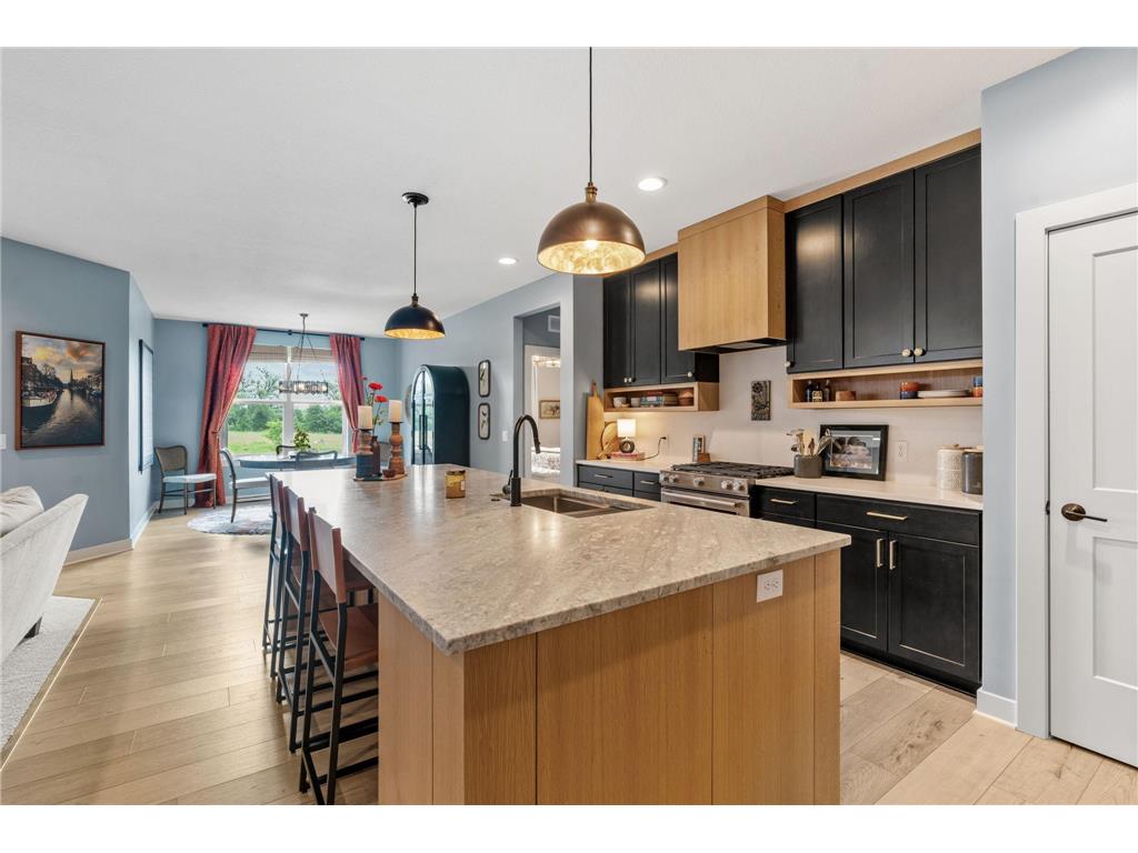 10378 Elm Lane Corcoran MN 55374 7088314 image34