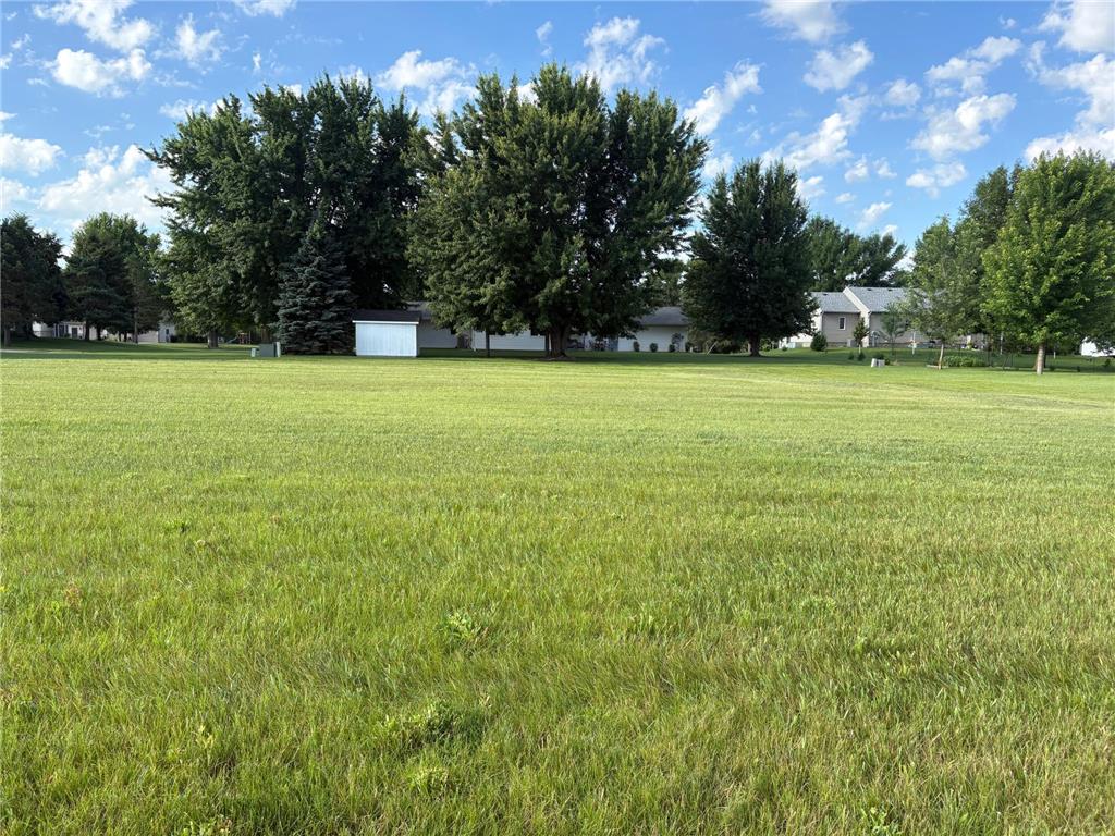 1039 Montana Avenue Benson MN 56215 6751561 image1