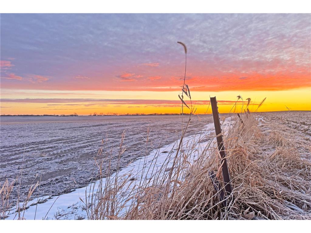 104 110th Avenue Lake Belt Twp MN 56121 7032649 image16