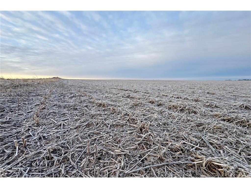 104 110th Avenue Lake Belt Twp MN 56121 7032649 image18