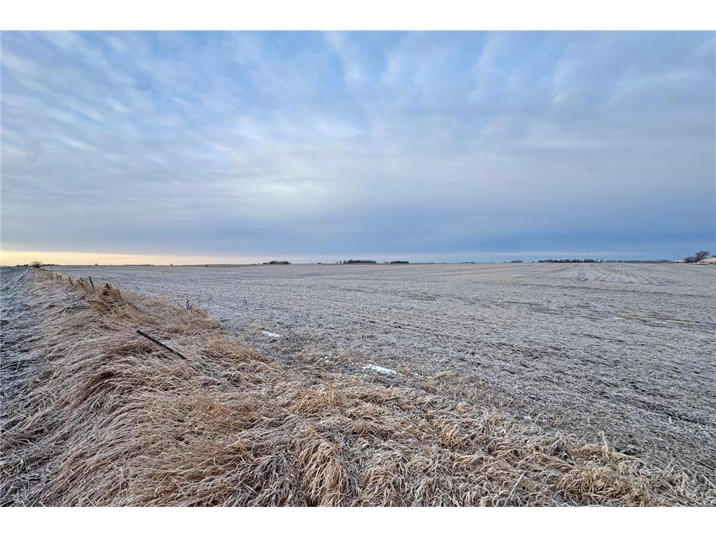 104 110th Avenue Lake Belt Twp MN 56121 7032649 image20