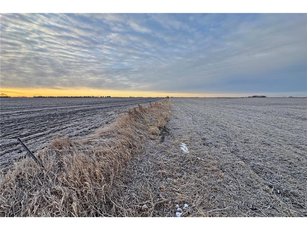 104 110th Avenue Lake Belt Twp MN 56121 7032649 image21