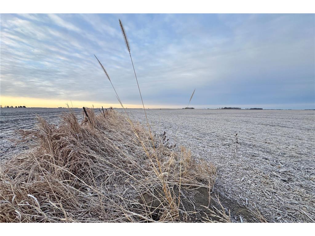 104 110th Avenue Lake Belt Twp MN 56121 7032649 image22