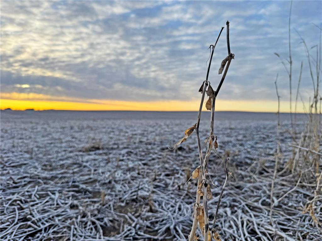 104 110th Avenue Lake Belt Twp MN 56121 7032649 image26