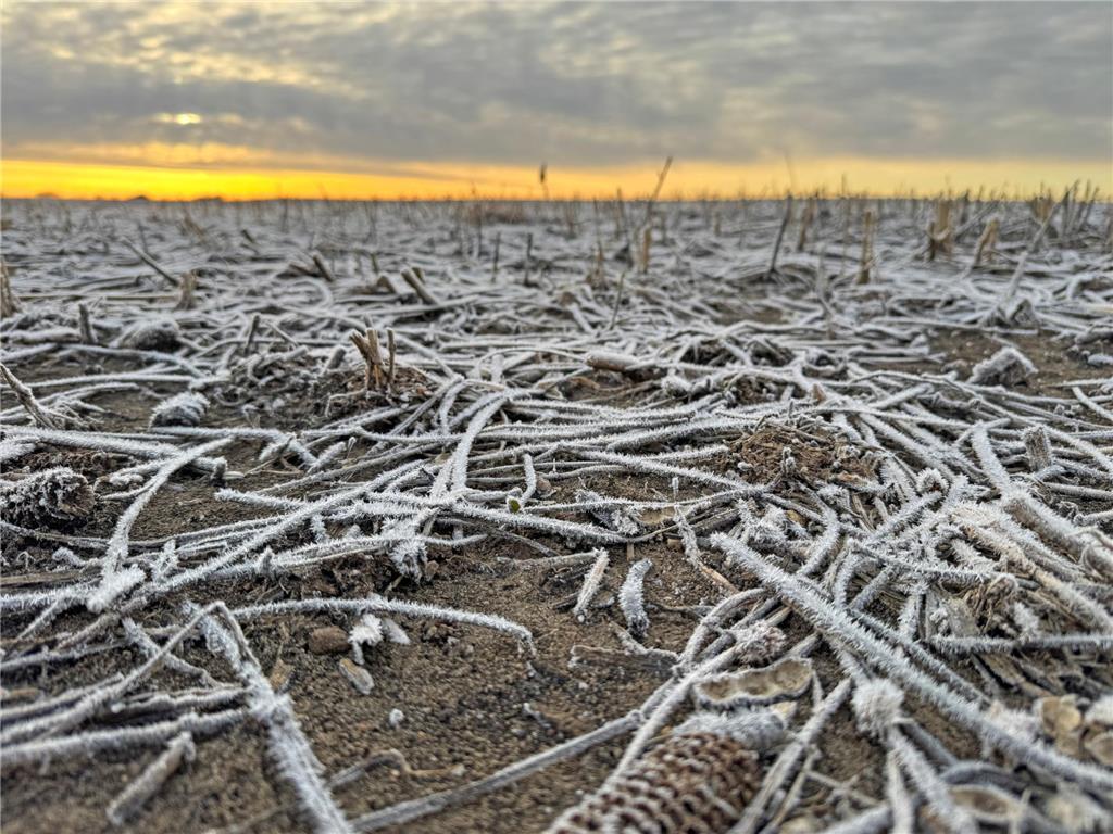 104 110th Avenue Lake Belt Twp MN 56121 7032649 image27