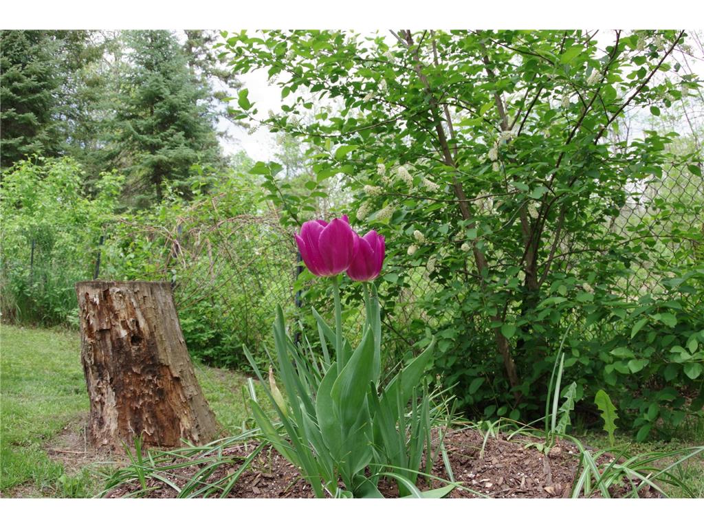 104 6th Street SE Turtle River MN 56601 7080914 image25