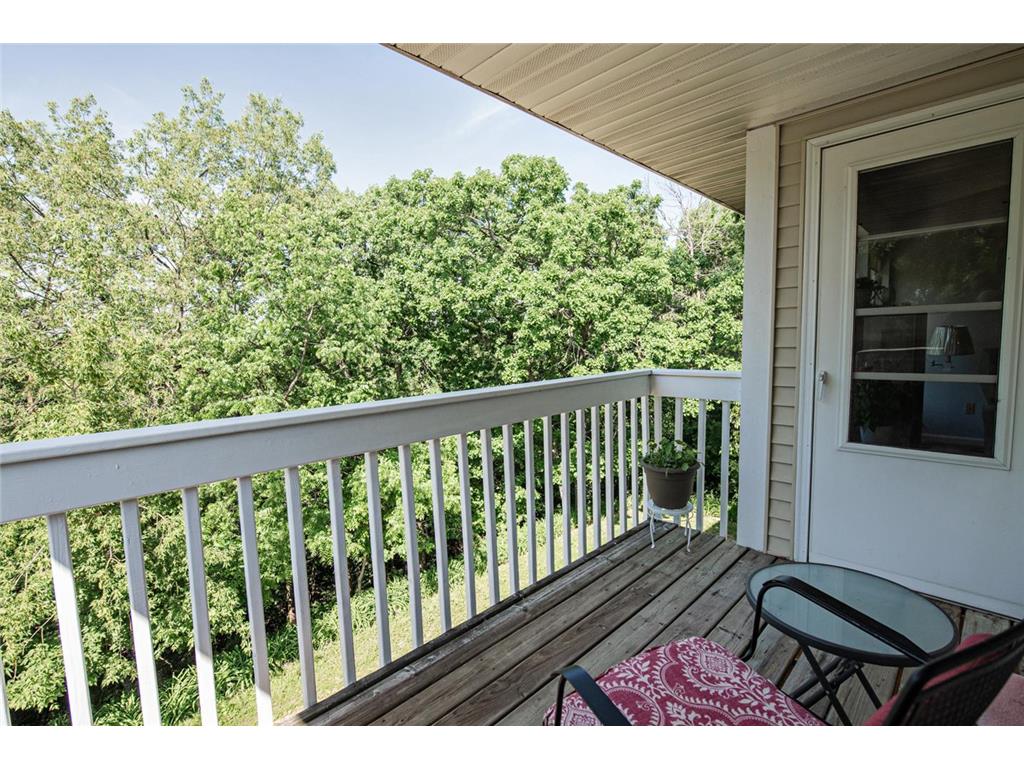 104 Alpine Ridge #1 Wabasha MN 55981 7084428 image17