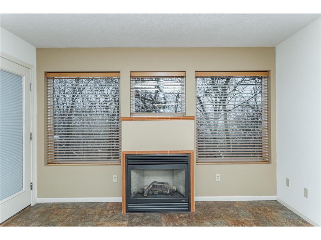 104 Alpine Ridge #3 Wabasha MN 55981 7003465 image14