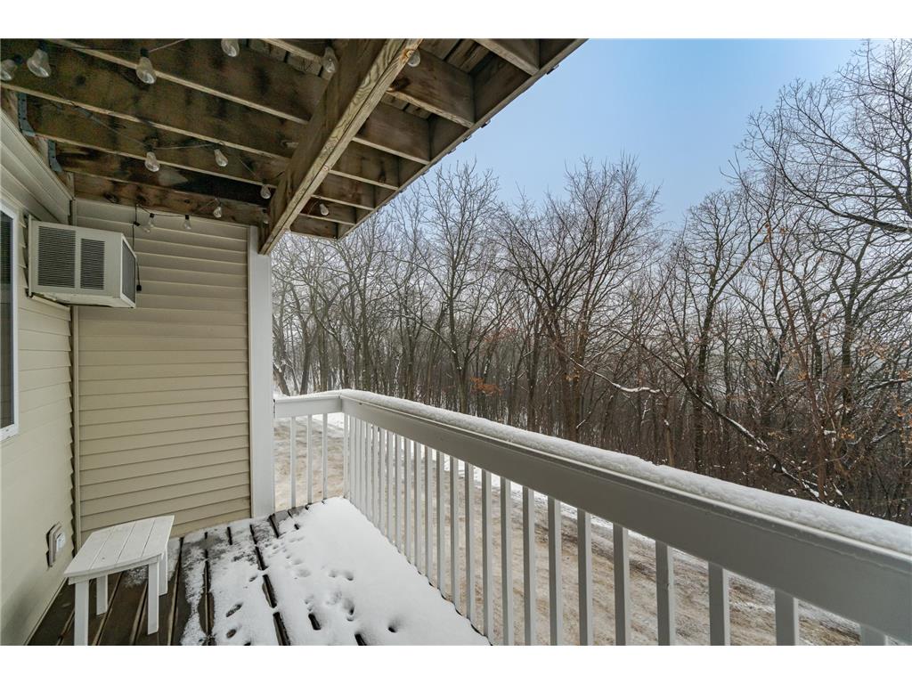 104 Alpine Ridge #3 Wabasha MN 55981 7003465 image5