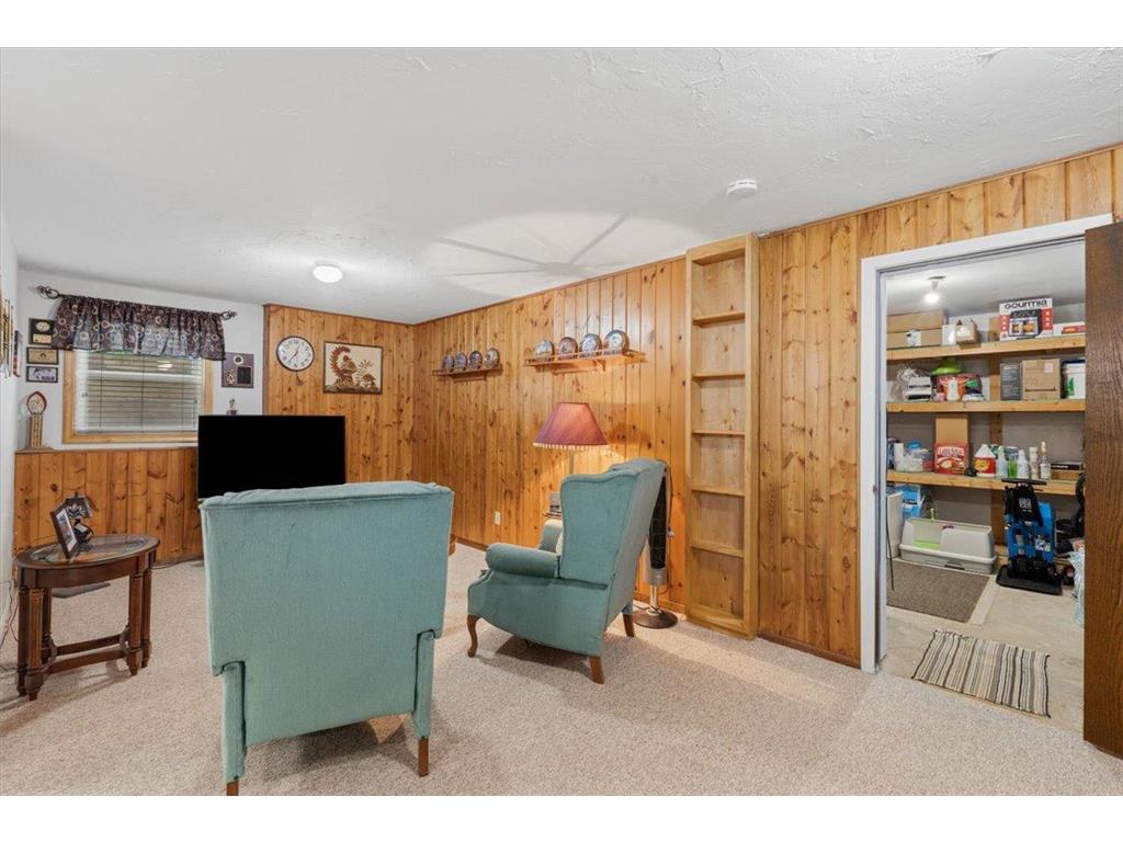 104 Pheasant Lane Battle Lake MN 56515 7073000 image64