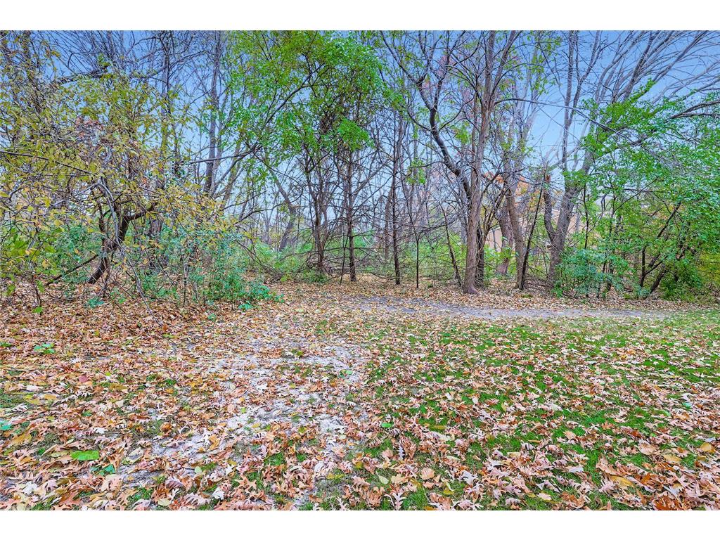 104 South Drive Circle Pines MN 55014 6812823 image28