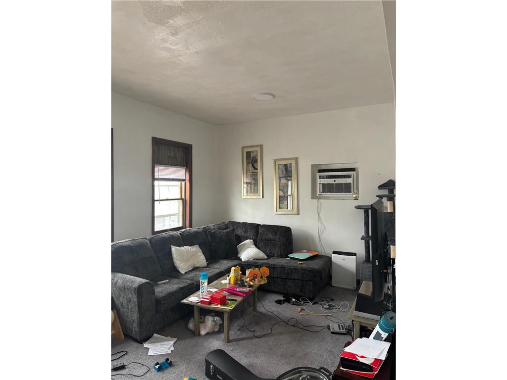 104 W Main Street Cottonwood MN 56229 6807196 image5