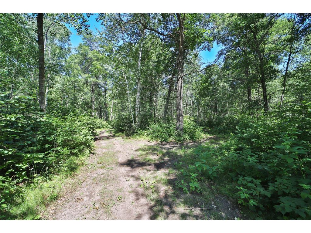 1040 Big Bear Trail SW Brainerd MN 56401 7109914 image52