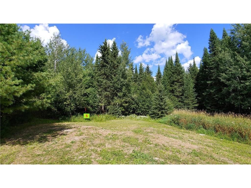 10407 Ash River Trail, Orr, MN, 55771 MLS 6432714 Edina Realty