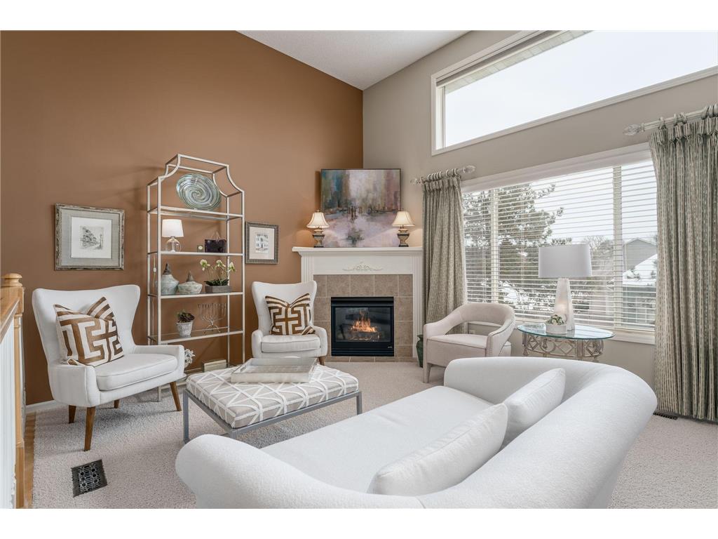 1041 Drew Drive Woodbury MN 55129 6652831 image1