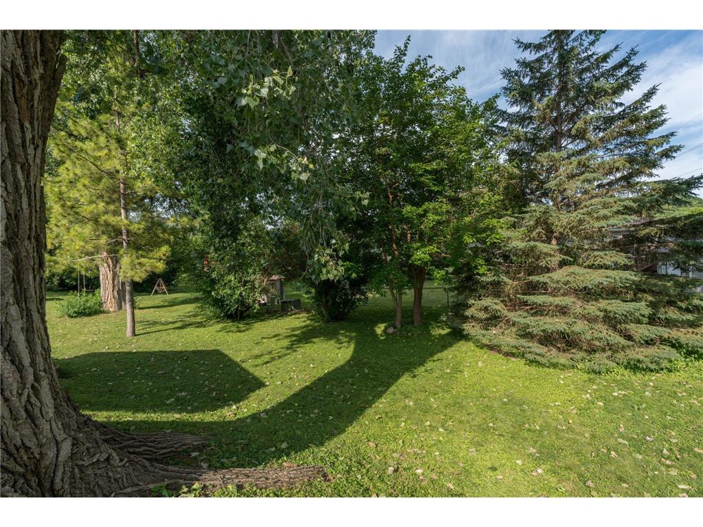 1041 Quincy Street North Mankato MN 56003 7098881 image29