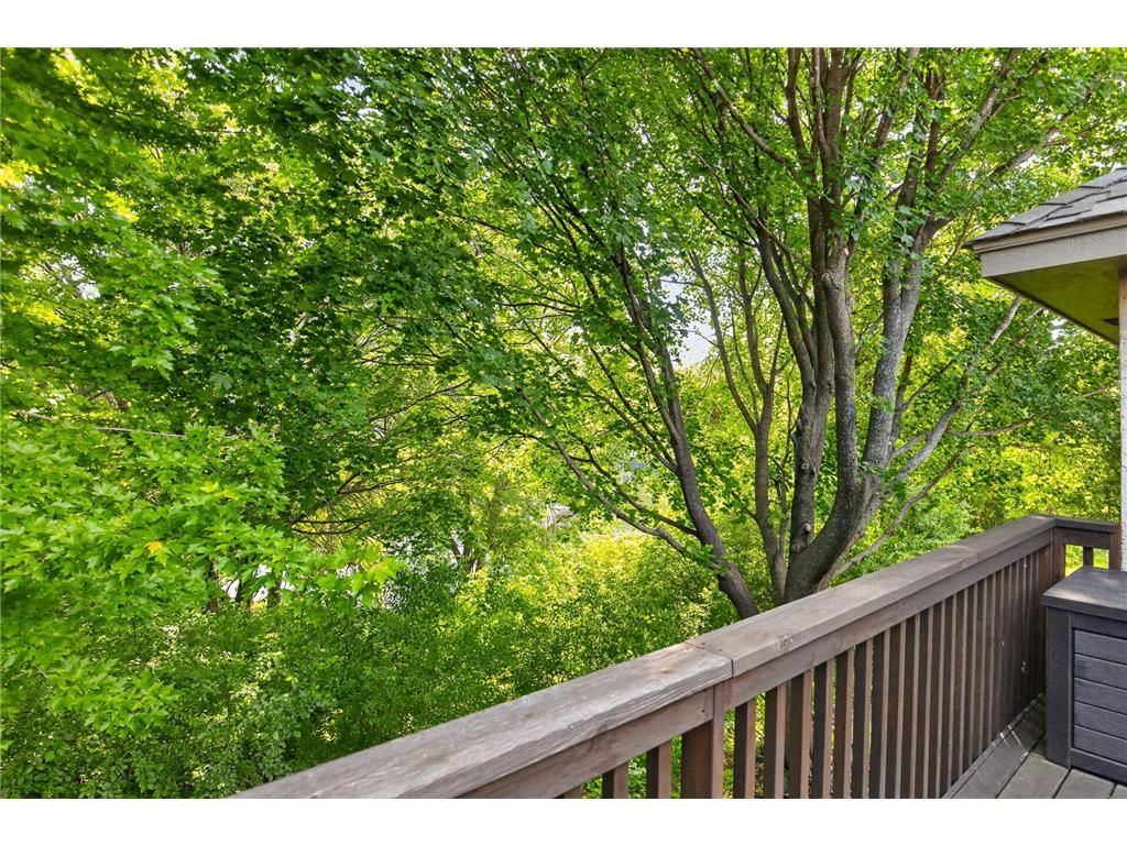 10417 Fawns Way Eden Prairie MN 55347 7090751 image45