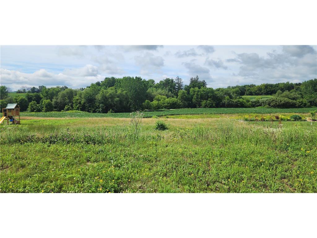 1042 3rd Street Wanamingo MN 55983 7106889 image1