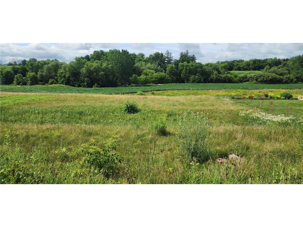 1042 3rd Street Wanamingo MN 55983 7106889 image2