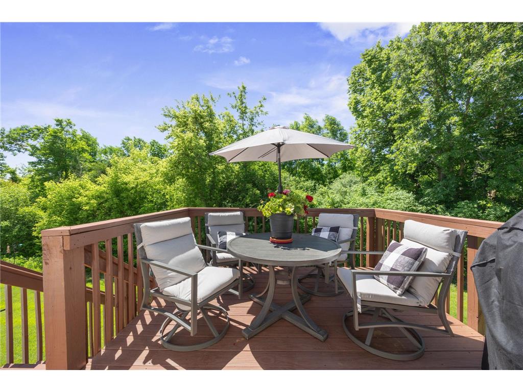 1042 White Tail Lane Montrose MN 55363 7090544 image16