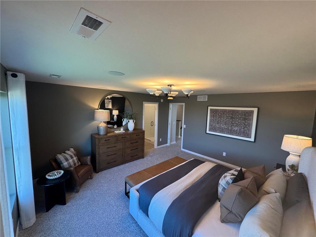 10422 Hadley Avenue S Cottage Grove MN 55016 6825007 image20