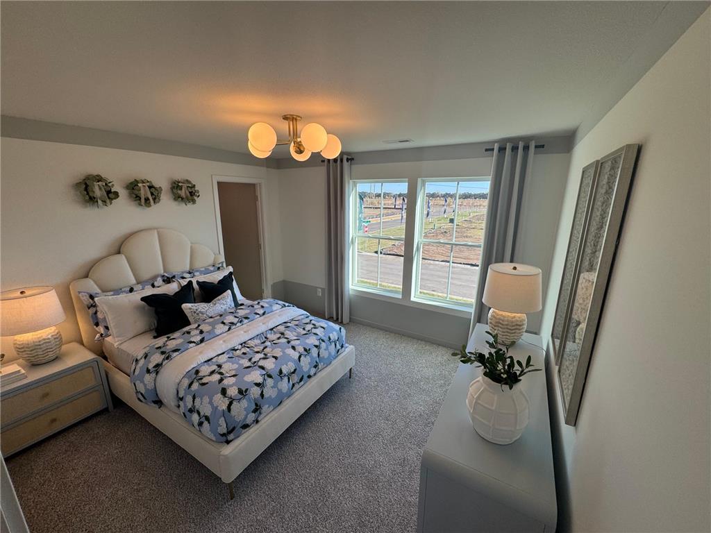 10422 Hadley Avenue S Cottage Grove MN 55016 6825007 image28