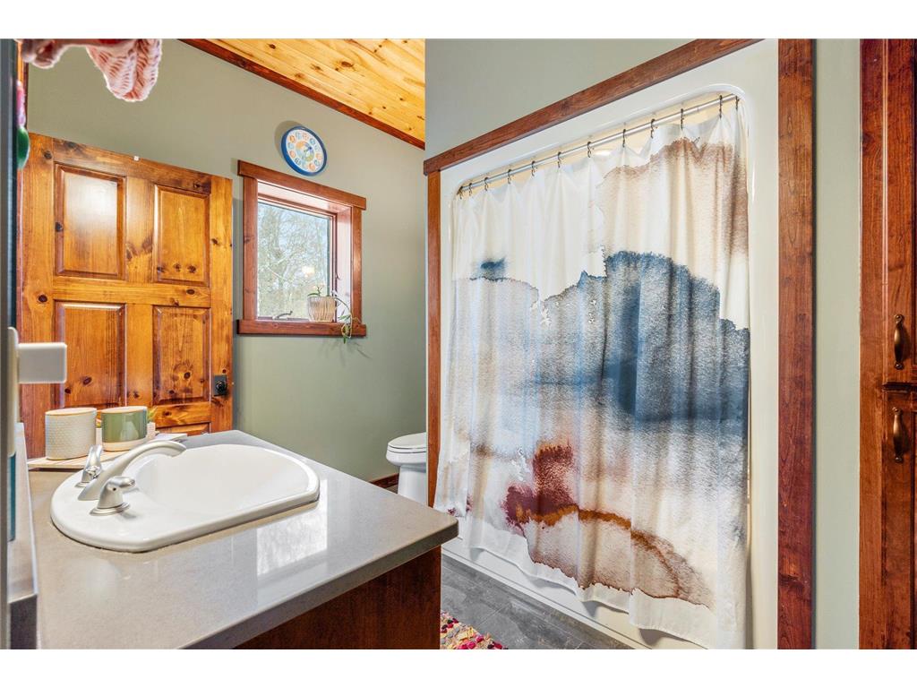 10422 Ossawinnamakee Road Ideal Twp MN 56472 6804456 image39