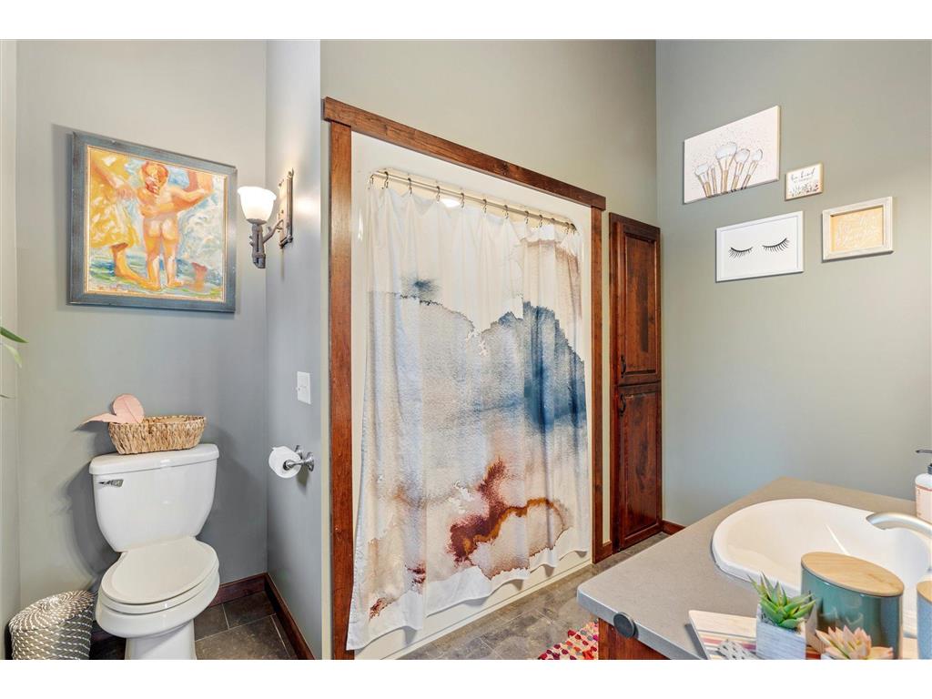 10422 Ossawinnamakee Road Ideal Twp MN 56472 6804456 image41