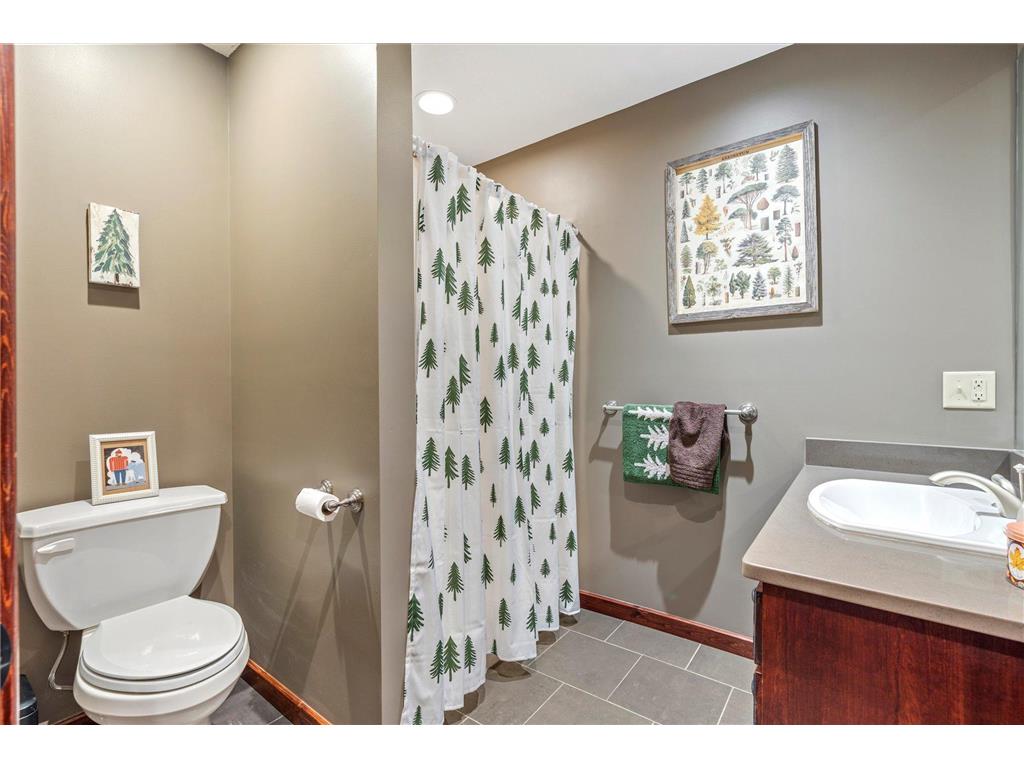 10422 Ossawinnamakee Road Ideal Twp MN 56472 6804456 image47