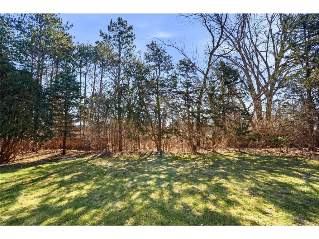 10427 Brown Farm Circle Eden Prairie MN 55347 7055973 image11