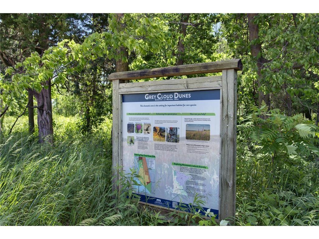 10430 Glenbrook Avenue S Cottage Grove MN 55016 7028370 image20