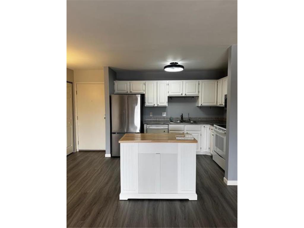 10441 Greenbrier Road #318 Minnetonka MN 55305 6709297 image1