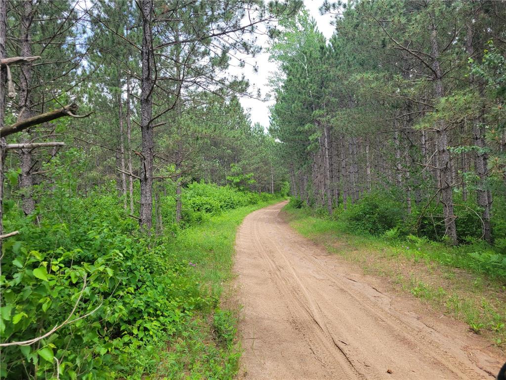 1045B State Trail Crow Wing Lake Twp MN 56467 7091823 image1