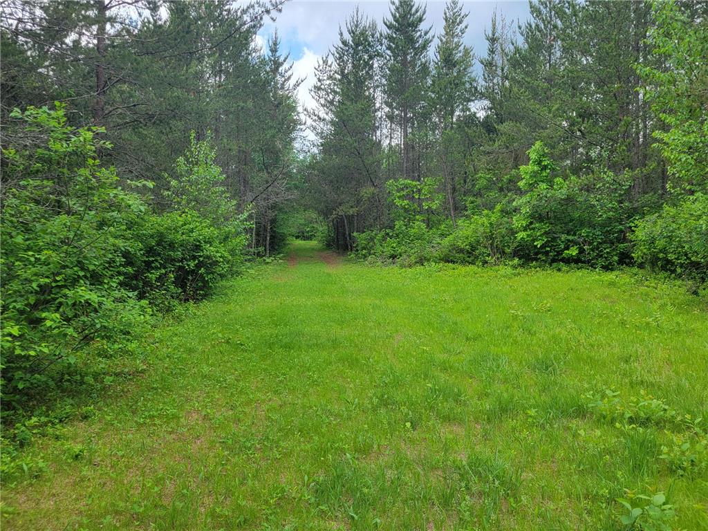 1045B State Trail Crow Wing Lake Twp MN 56467 7091823 image10