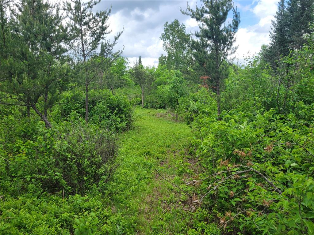 1045B State Trail Crow Wing Lake Twp MN 56467 7091823 image11