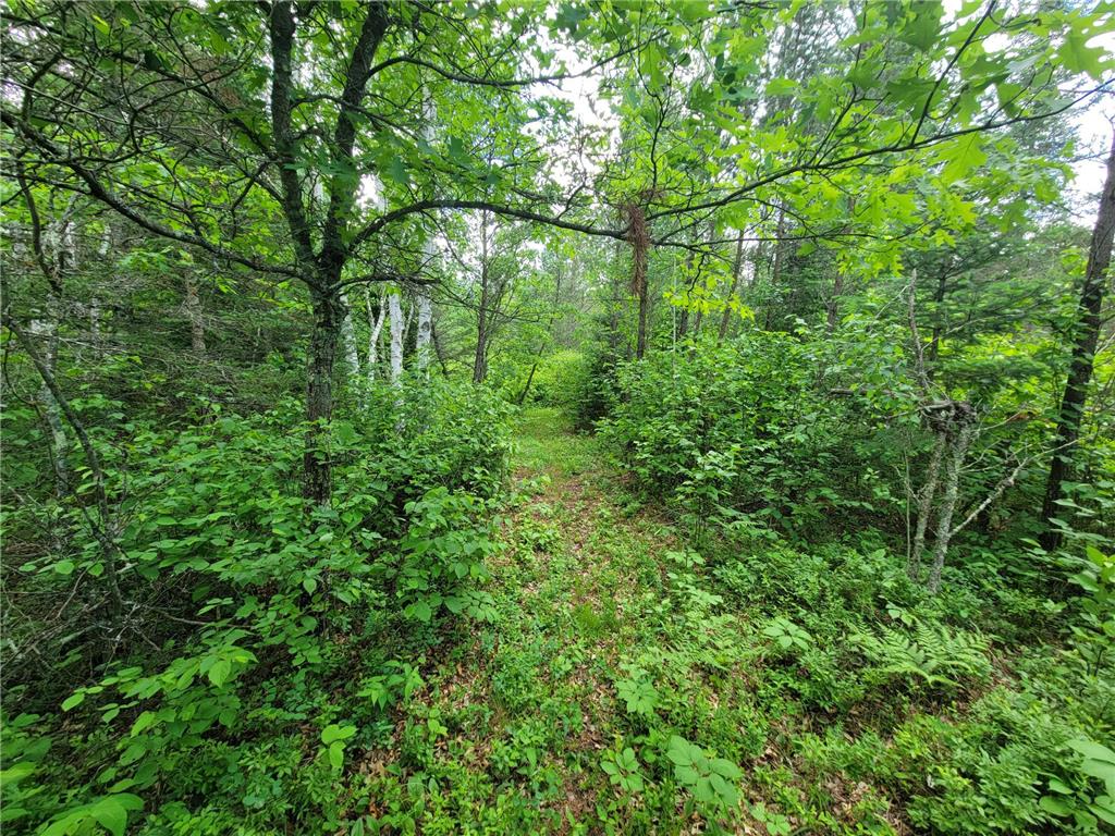 1045B State Trail Crow Wing Lake Twp MN 56467 7091823 image12